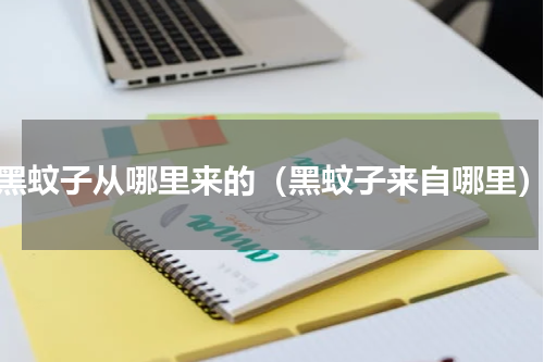 黑蚊子从哪里来的（黑蚊子来自哪里）