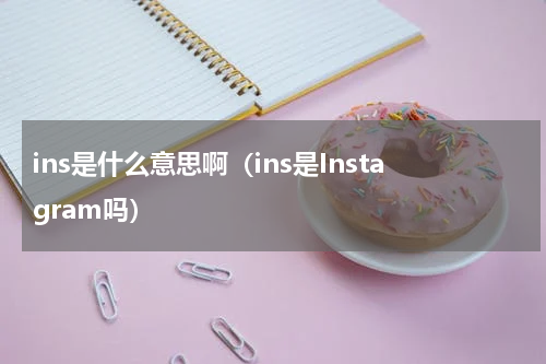 ins是什么意思啊（ins是Instagram吗）