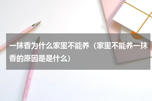一抹香为什么家里不能养（家里不能养一抹香的原因是是什么）