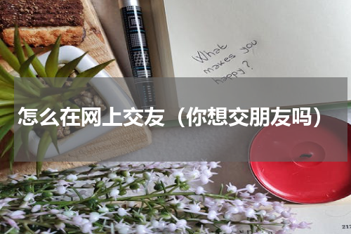 怎么在网上交友（你想交朋友吗）