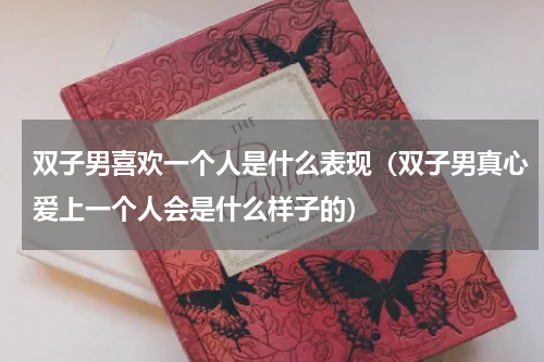 双子男喜欢一个人是什么表现（双子男真心爱上一个人会是什么样子的）