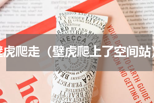 壁虎爬走（壁虎爬上了空间站）