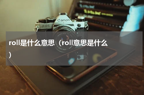 roll是什么意思（roll意思是什么）