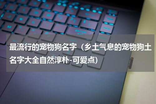 最流行的宠物狗名字（乡土气息的宠物狗土名字大全自然淳朴-可爱点）