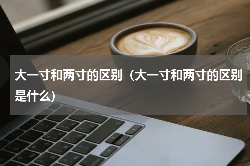 大一寸和两寸的区别（大一寸和两寸的区别是什么）