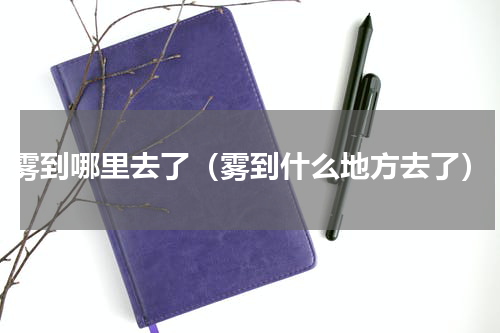 雾到哪里去了（雾到什么地方去了）