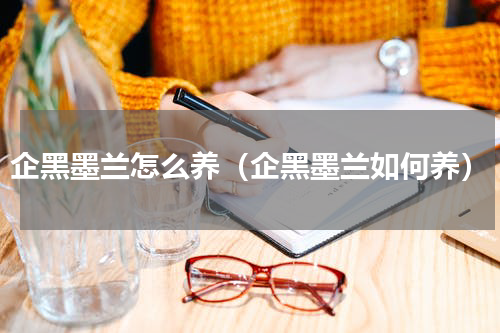 企黑墨兰怎么养（企黑墨兰如何养）
