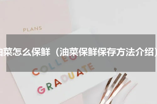 油菜怎么保鲜（油菜保鲜保存方法介绍）