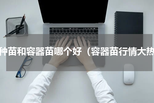播种苗和容器苗哪个好（容器苗行情大热）