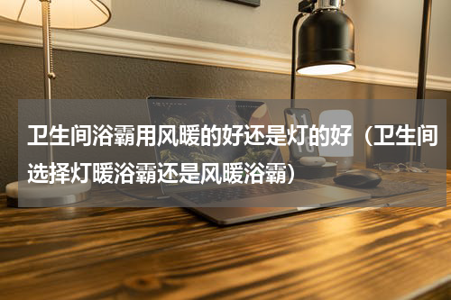 卫生间浴霸用风暖的好还是灯的好（卫生间选择灯暖浴霸还是风暖浴霸）