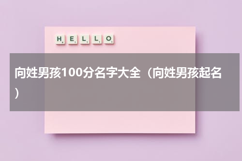 向姓男孩100分名字大全（向姓男孩起名）