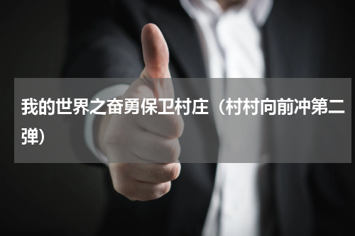 我的世界之奋勇保卫村庄（村村向前冲第二弹）