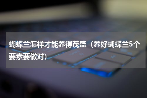 蝴蝶兰怎样才能养得茂盛（养好蝴蝶兰5个要素要做对）