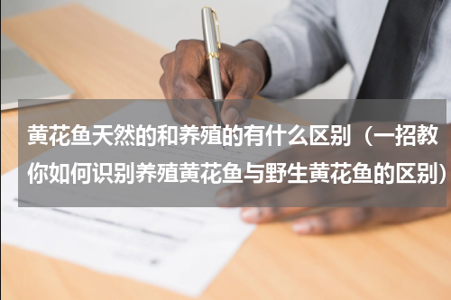 黄花鱼天然的和养殖的有什么区别（一招教你如何识别养殖黄花鱼与野生黄花鱼的区别）