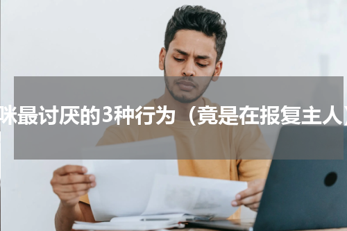 猫咪最讨厌的3种行为（竟是在报复主人）