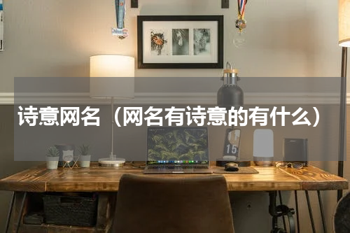 诗意网名（网名有诗意的有什么）