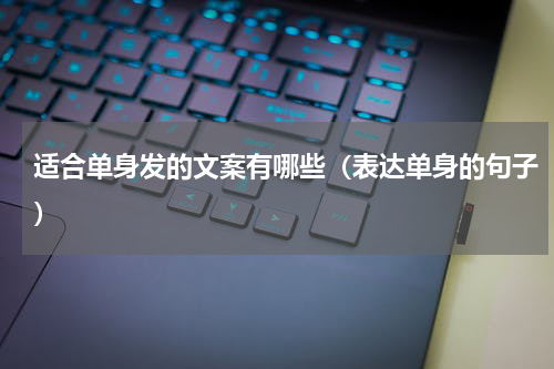 适合单身发的文案有哪些（表达单身的句子）