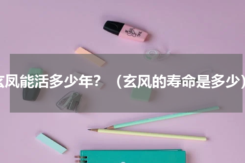 玄凤能活多少年？（玄风的寿命是多少）