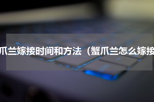 蟹爪兰嫁接时间和方法（蟹爪兰怎么嫁接）