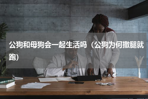 公狗和母狗会一起生活吗（公狗为何撒腿就跑）