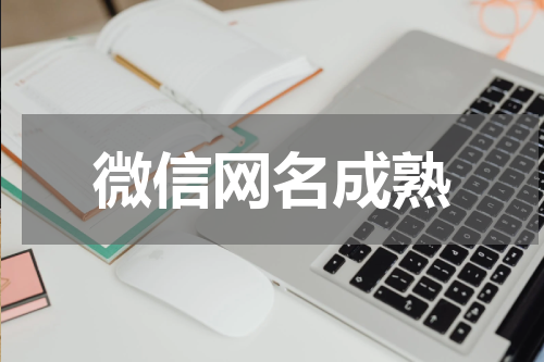 微信网名成熟