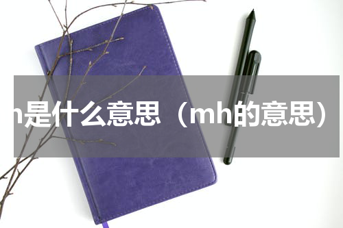 mh是什么意思（mh的意思）