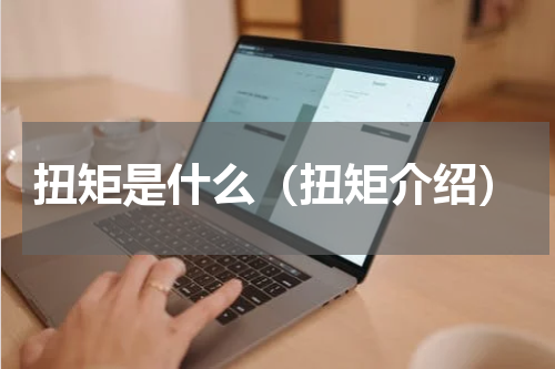 扭矩是什么（扭矩介绍）