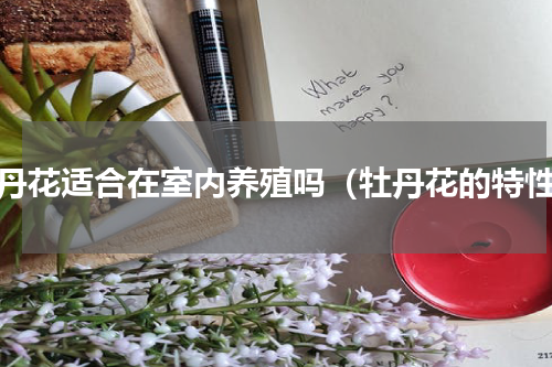 牡丹花适合在室内养殖吗（牡丹花的特性）