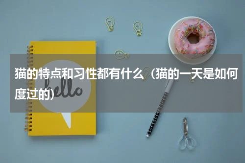 猫的特点和习性都有什么（猫的一天是如何度过的）