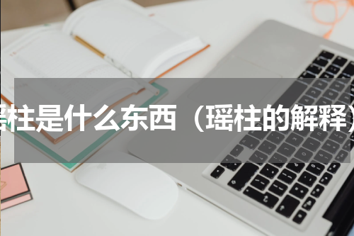 瑶柱是什么东西（瑶柱的解释）