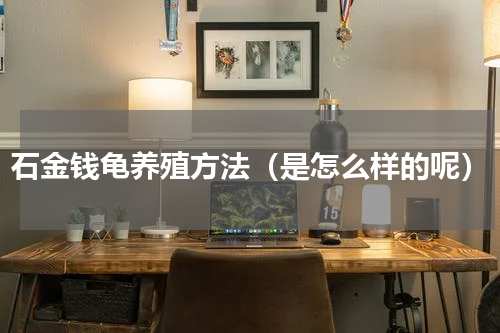 石金钱龟养殖方法（是怎么样的呢）