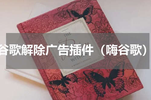 谷歌解除广告插件（嗨谷歌）