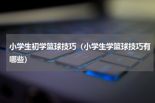 小学生初学篮球技巧（小学生学篮球技巧有哪些）