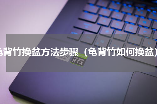 龟背竹换盆方法步骤（龟背竹如何换盆）