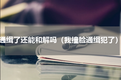 通缉了还能和解吗（我撞脸通缉犯了）
