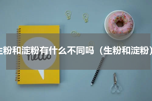 生粉和淀粉有什么不同吗（生粉和淀粉）