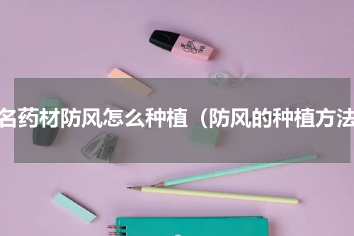著名药材防风怎么种植（防风的种植方法）