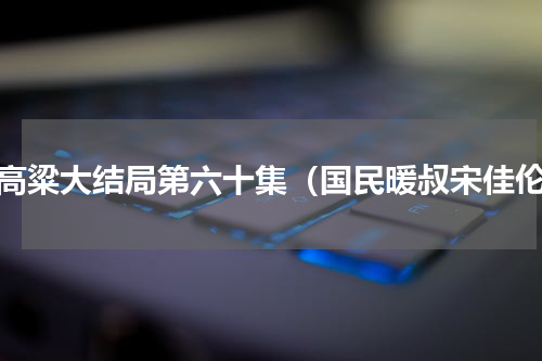 红高粱大结局第六十集（国民暖叔宋佳伦）