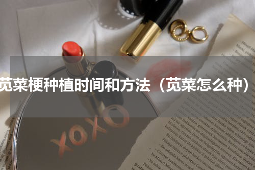 苋菜梗种植时间和方法（苋菜怎么种）