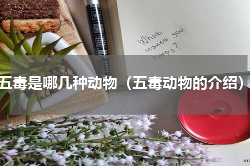 五毒是哪几种动物（五毒动物的介绍）
