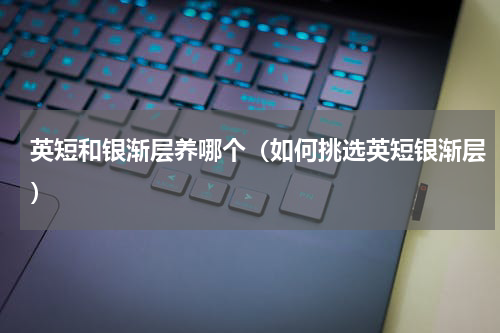 英短和银渐层养哪个（如何挑选英短银渐层）