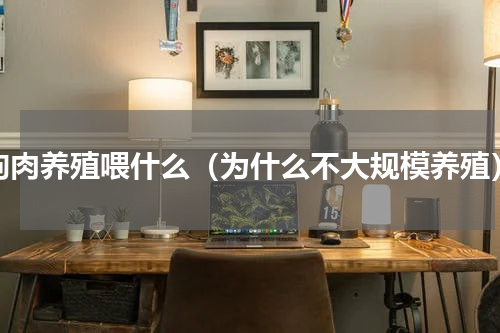 狗肉养殖喂什么（为什么不大规模养殖）