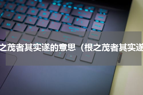 根之茂者其实遂的意思（根之茂者其实遂）