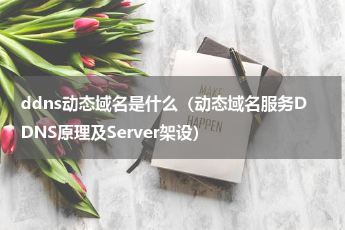 ddns动态域名是什么（动态域名服务DDNS原理及Server架设）