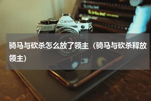 骑马与砍杀怎么放了领主（骑马与砍杀释放领主）