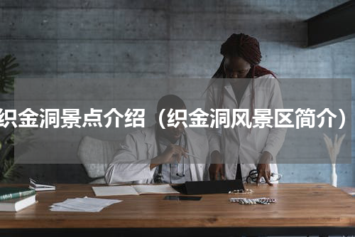 织金洞景点介绍（织金洞风景区简介）