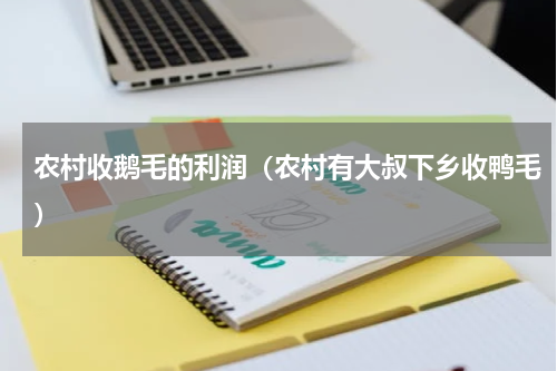 农村收鹅毛的利润（农村有大叔下乡收鸭毛）