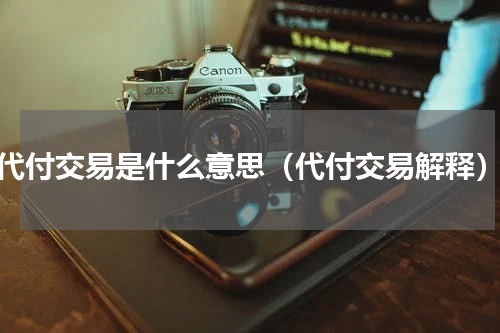 代付交易是什么意思（代付交易解释）