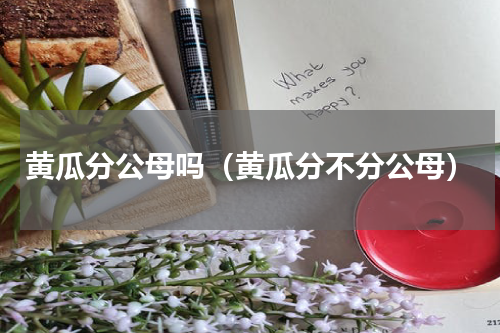 黄瓜分公母吗（黄瓜分不分公母）