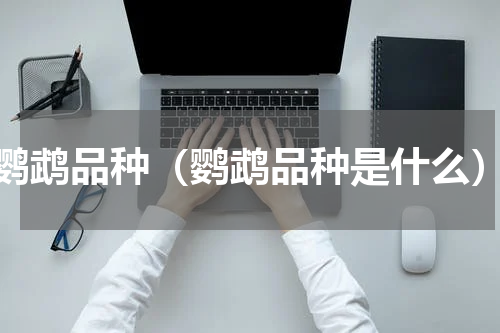 鹦鹉品种（鹦鹉品种是什么）